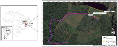 Learning in the forest: environmental perception of Brazilian teenagers